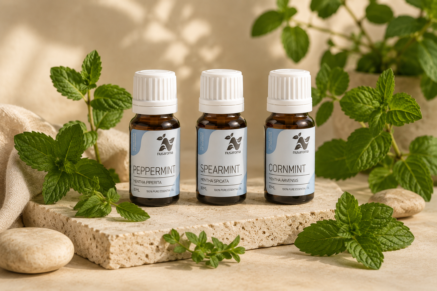 Coffret Rituel Fraîcheur Mentholée — ByAroma