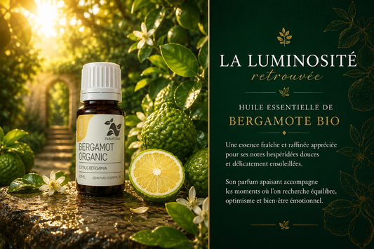 Bergamot — luminous freshness