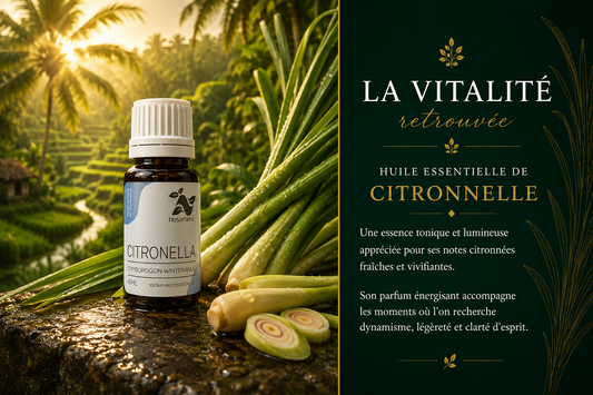 Citronnelle — fraîcheur purifiante-10ml-