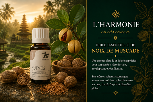 Nutmeg — warm comfort