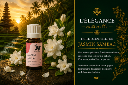 Jasmine sambac — soothing elegance