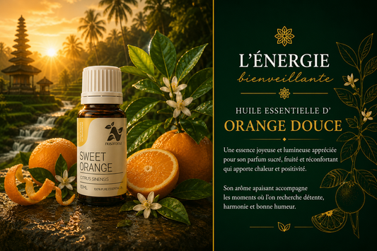 Sweet orange — sunny joy
