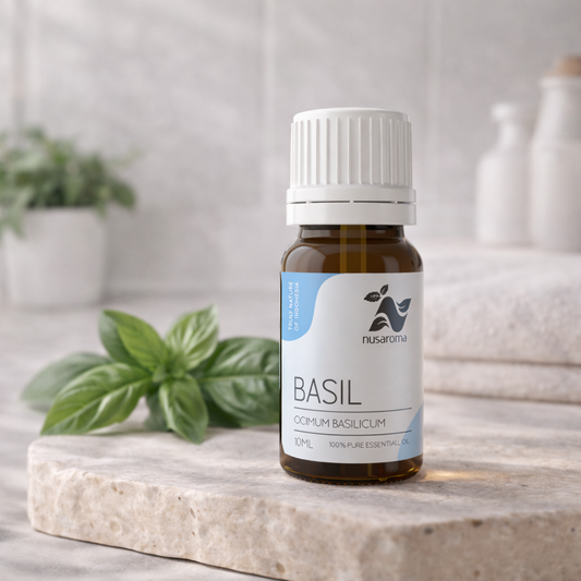 Basilic — clarté revitalisante