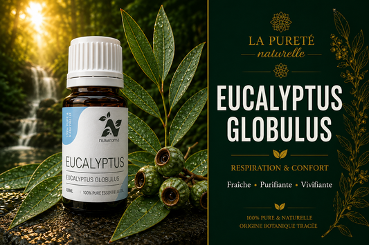 Eucalyptus — liberating breath
