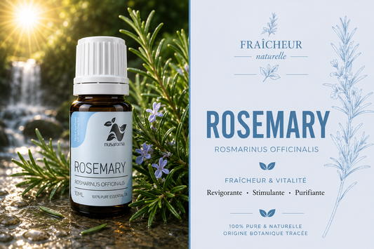 Rosemary — invigorating clarity