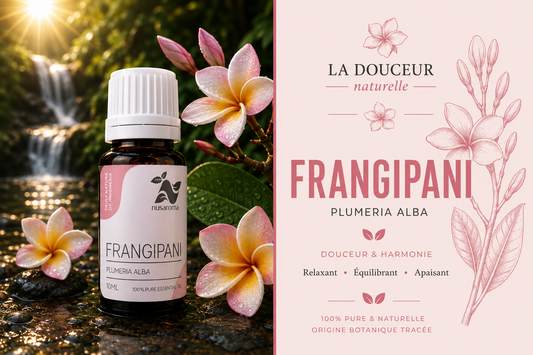 Frangipani — an enveloping floral sweetness