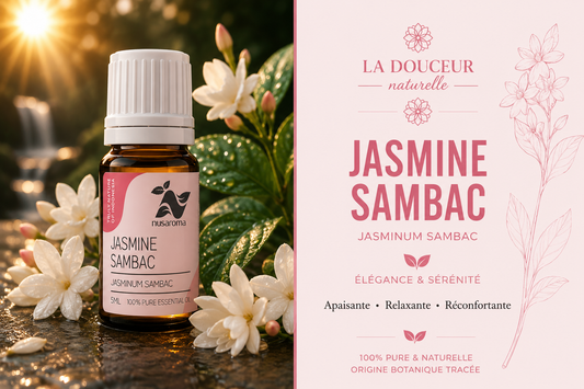 Jasmine sambac — soothing elegance