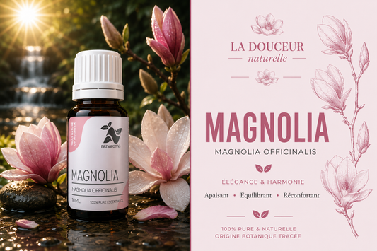 Magnolia — delicate serenity