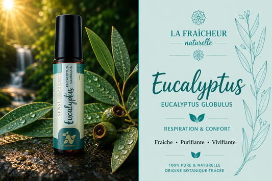 Eucalyptus Roll-on — 10 ml