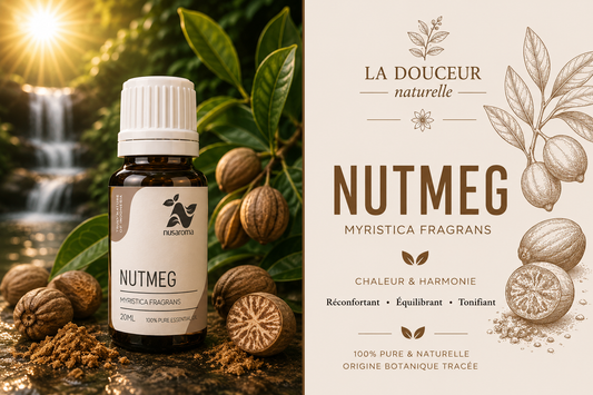 Nutmeg — warm comfort