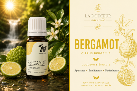 Bergamot — luminous freshness