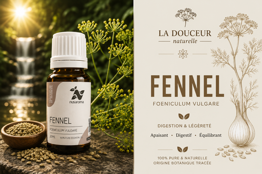 Fennel — soothing lightness