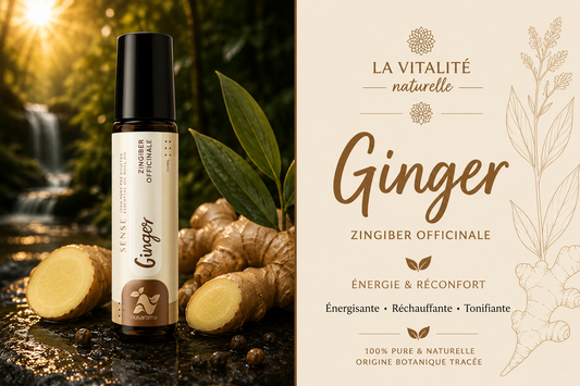 Ginger Roll-on — 10 ml