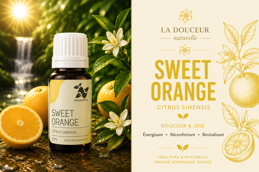 Sweet orange — sunny joy