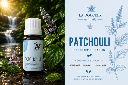 Patchouli — woody depth