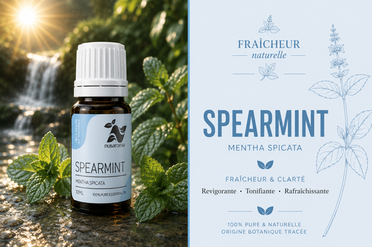 Spearmint — clear freshness