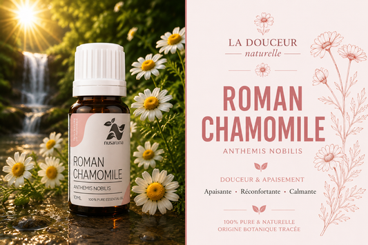 Chamomile — soothing sweetness