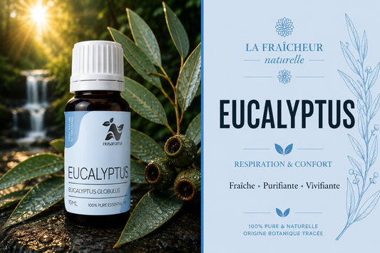 Eucalyptus — liberating breath