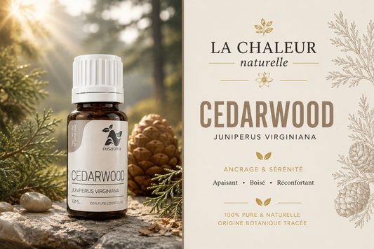 Cèdre — chaleur boisée-10ml-
