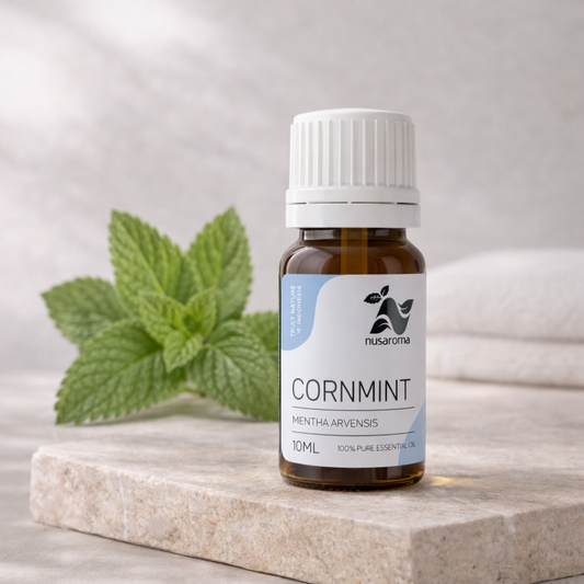 Menthe des champs — souffle purifiant