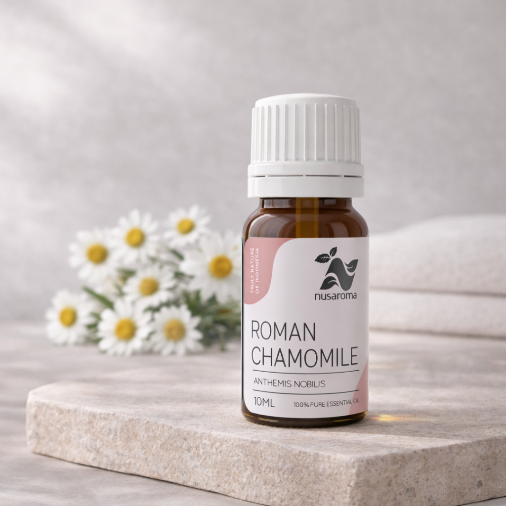Camomille — douceur apaisante