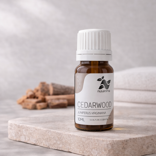 Cèdre — chaleur boisée