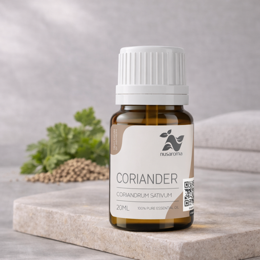 Coriandre — harmonie digestive