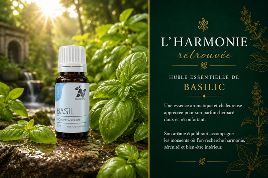 Basil — revitalizing clarity