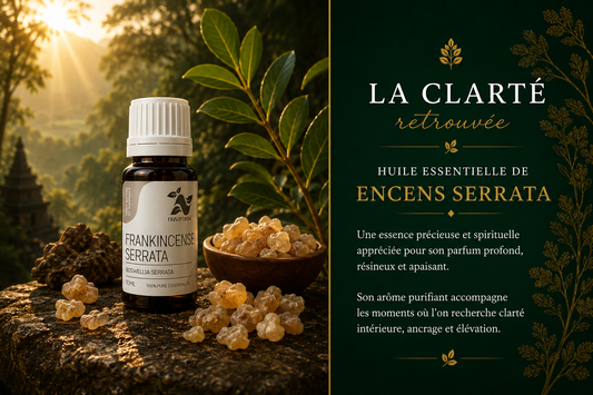 Incense — sacred depth