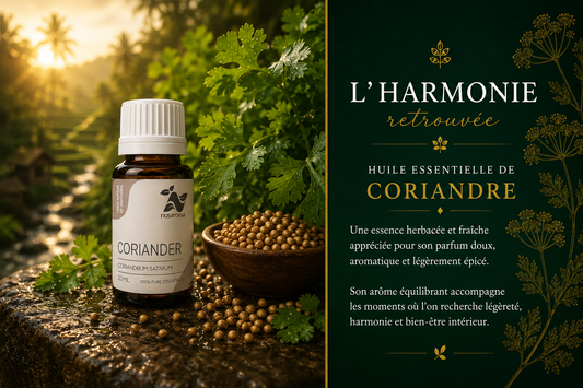 Coriander — digestive harmony