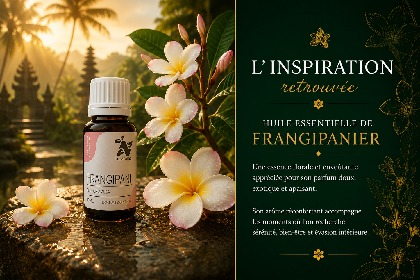 Frangipani — an enveloping floral sweetness