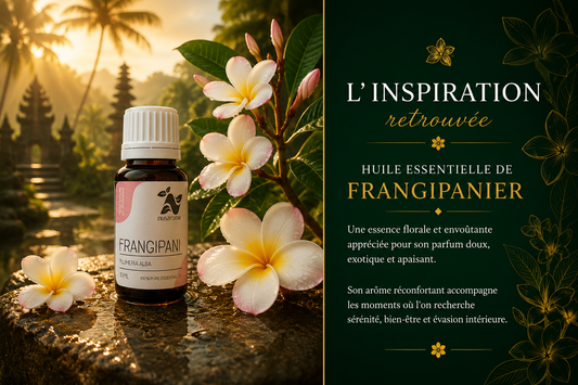 Frangipani — an enveloping floral sweetness