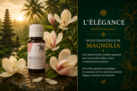 Magnolia — delicate serenity