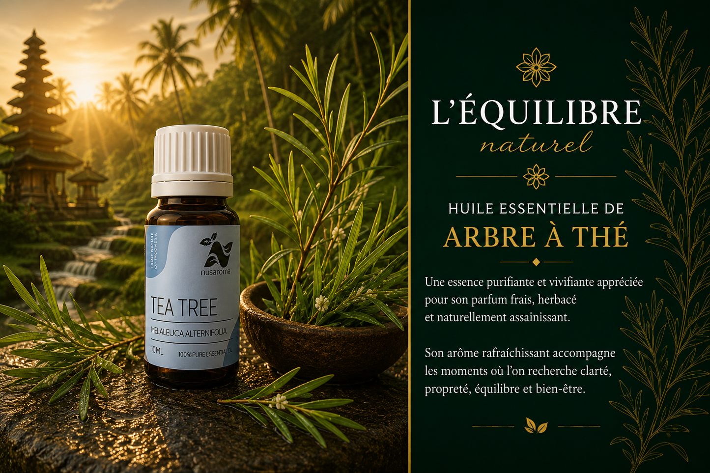 Arbre à thé — pureté profonde-10ml-