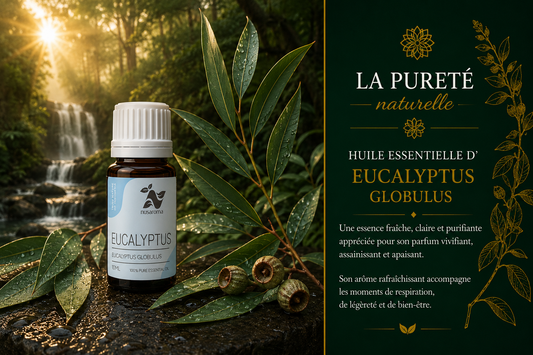 Eucalyptus — liberating breath
