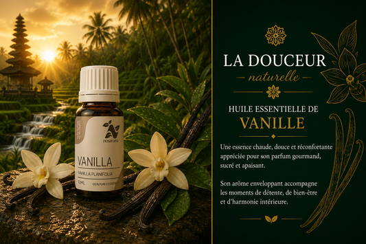 Vanilla — a comforting treat