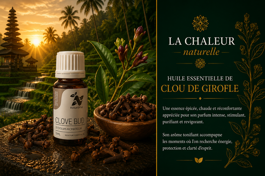 Clove — stimulating warmth