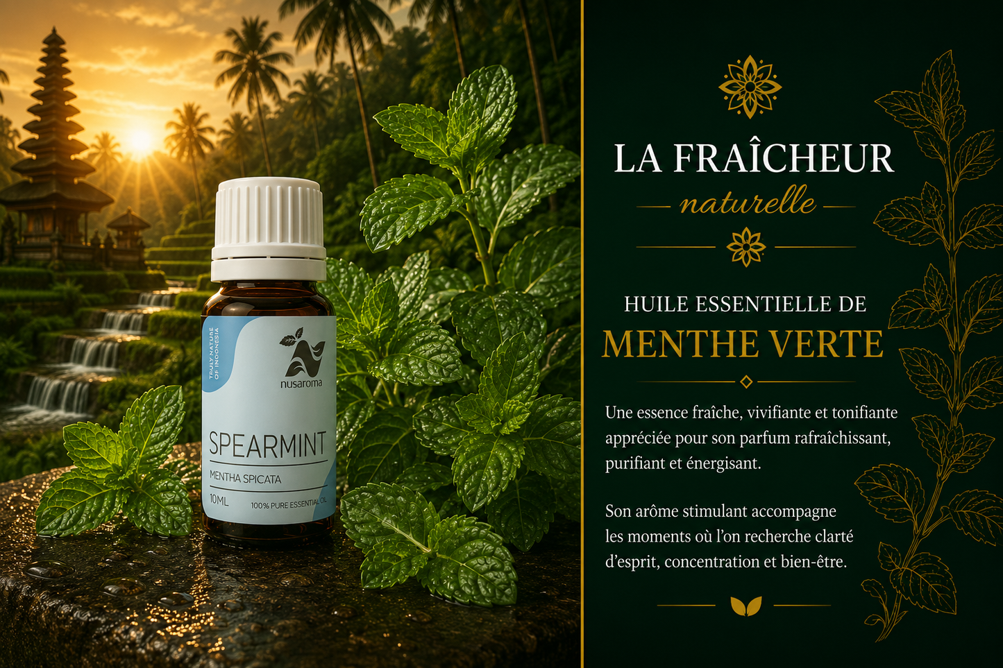 Menthe verte — fraîcheur claire-10ml-