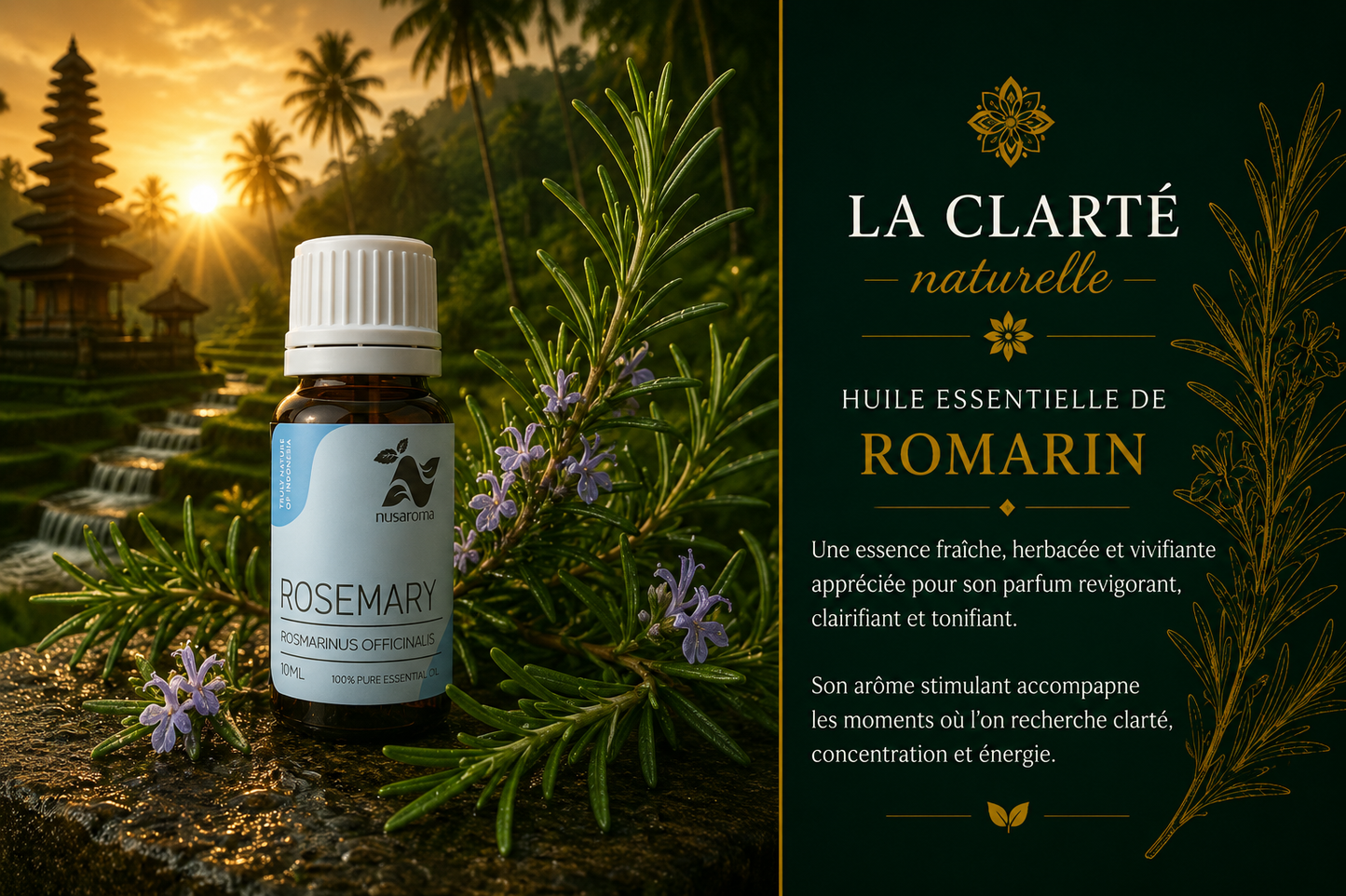 Rosemary — invigorating clarity