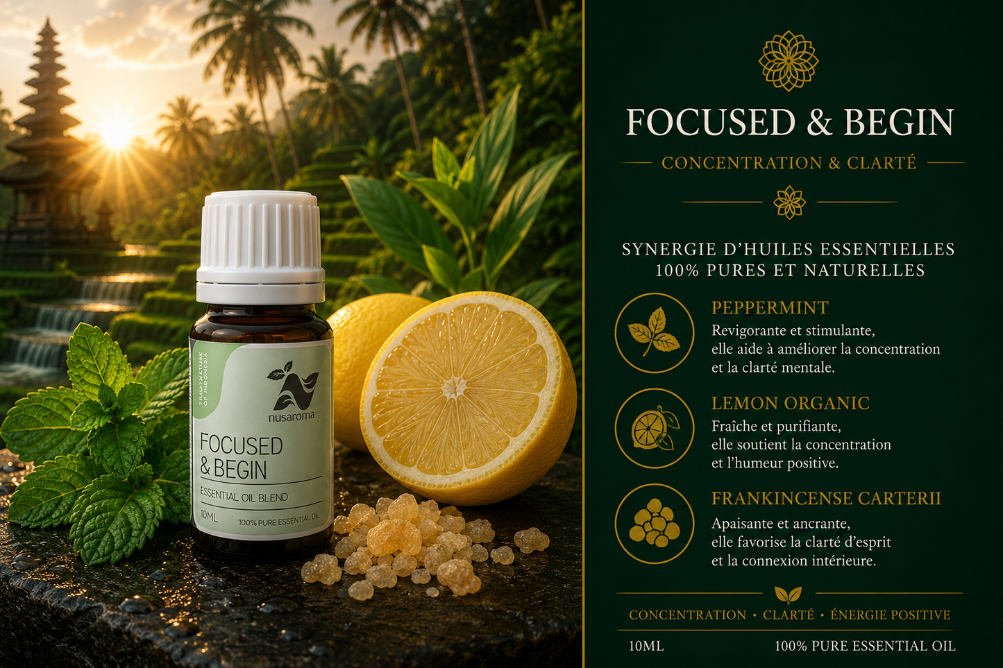 Focused & Begin Essential Oil Blend Synergy — 10 ml Bottle Reference: Focused & Begin Essential Oil Blend