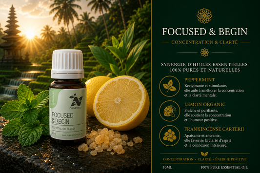 Focused & Begin Essential Oil Blend Synergy — 10 ml Bottle Reference: Focused & Begin Essential Oil Blend