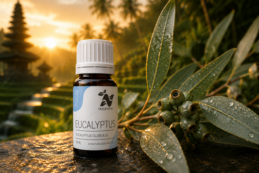 Eucalyptus — liberating breath