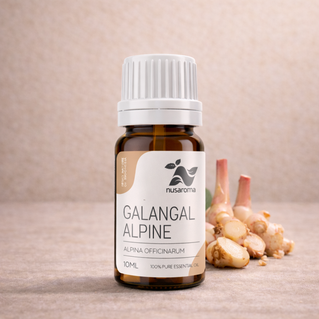 Alpine galangal — Indonesia 10ml