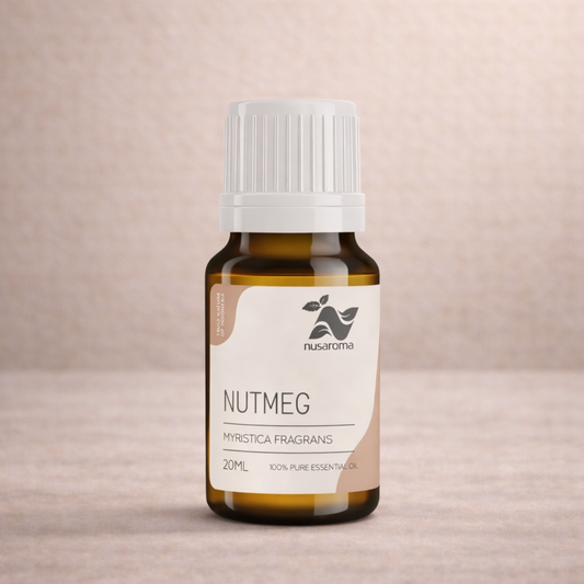 Noix de muscade — réconfort chaleureux