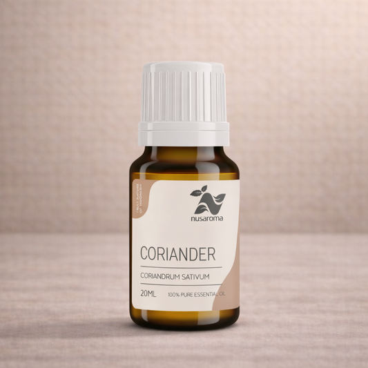 Coriandre — harmonie digestive