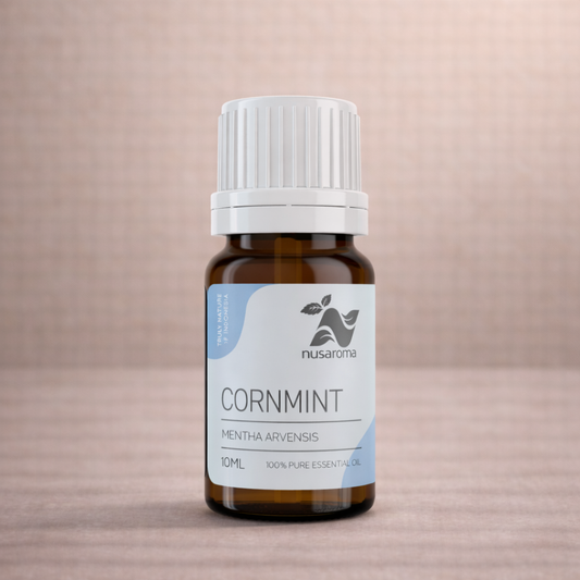 Menthe des champs — souffle purifiant