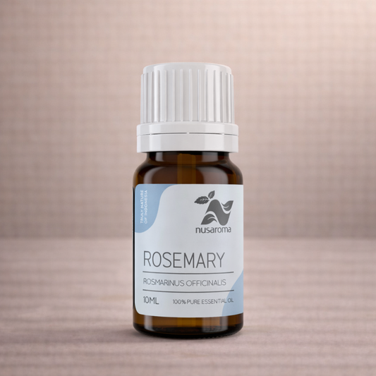 Romarin — clarté vivifiante