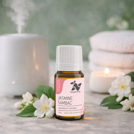 Jasmin sambac — élégance apaisante