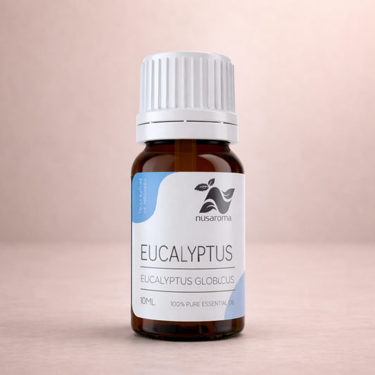 Eucalyptus — respiration libératrice