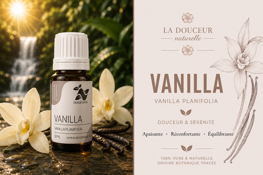 Vanilla — a comforting treat